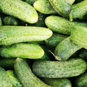 Этот неожиданный сосед для огурцов увеличит урожай в два раза: вы удивитесь